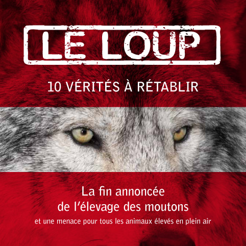 loup-verites-danger