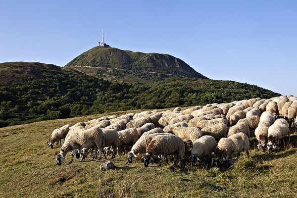 Estive sous le Puy-de-Dôme - Auvergne