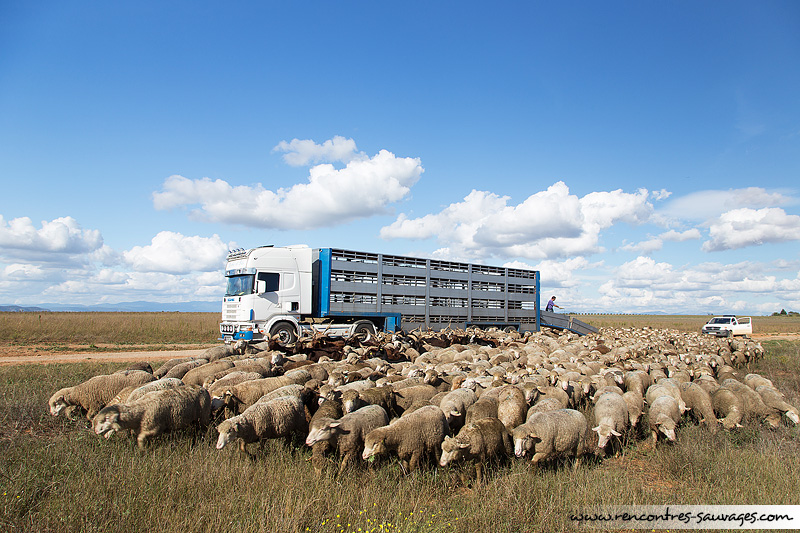 Déchargement camion