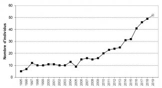 Evolution population Loup