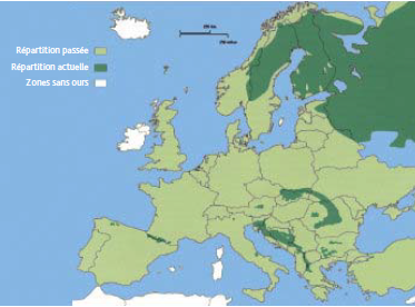 Répartition Ours