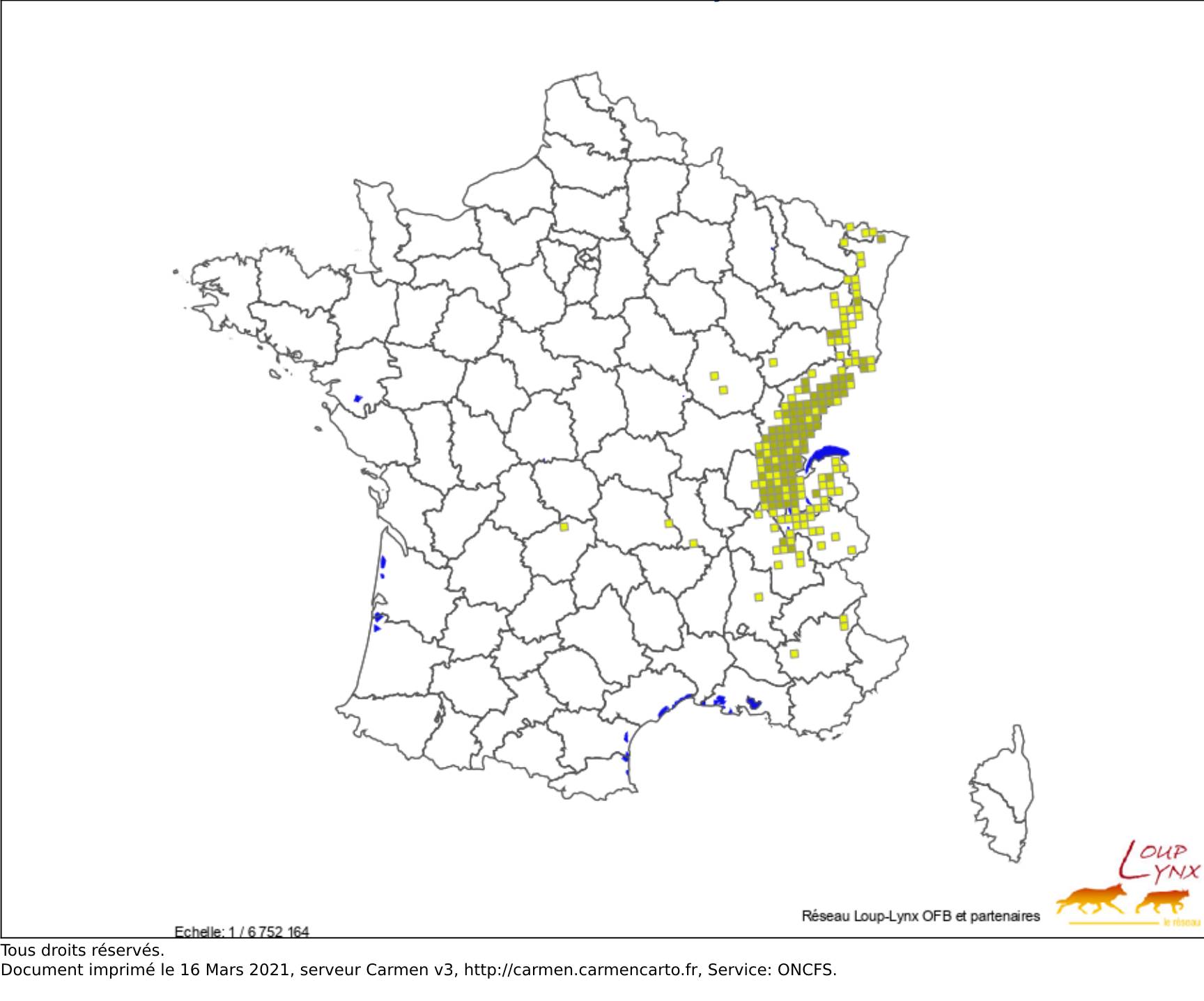 présence lynx france